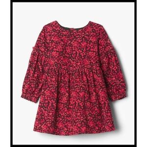Baby GAP Red Corduroy Floral Print Dress Lined L/S Red Floral 5 Years Toddler